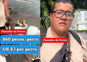 Paseador de perros en CDMX se vuelve viral por sacar 17 perros diarios y revela cuánto gana al mes