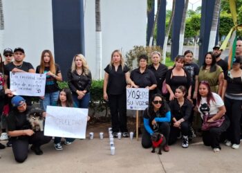 Exigen justicia por “Bobby”, perro atacado con machete en Culiacán; proponen crear Fiscalía de Protección Animal