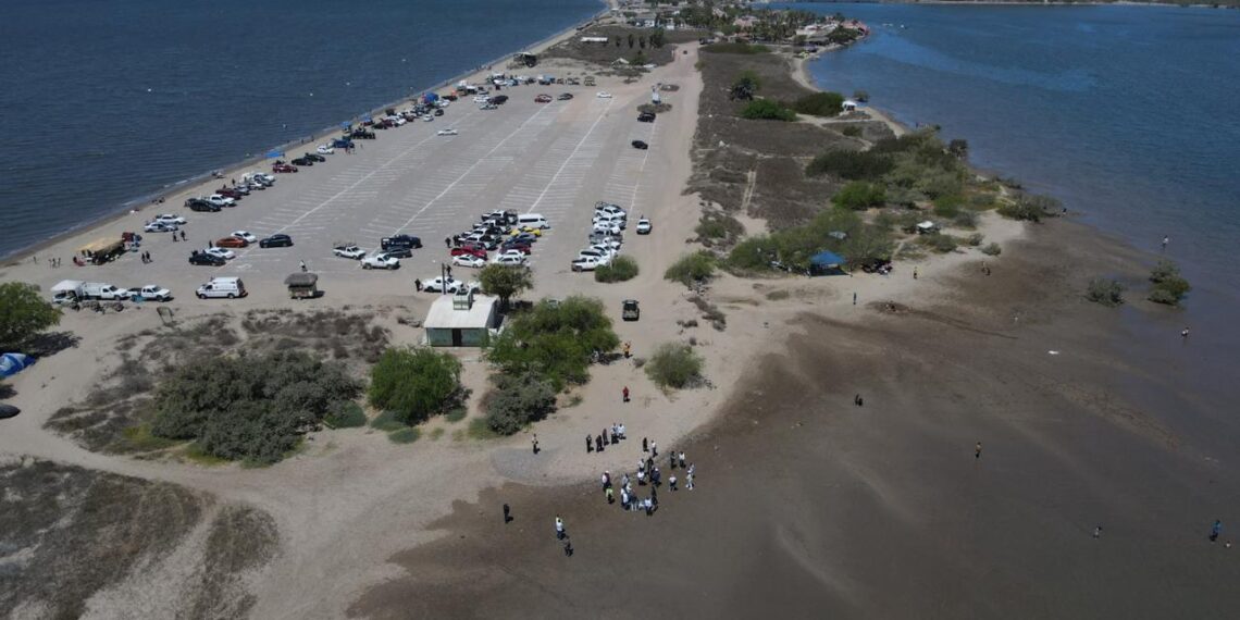 Alerta en Maviri: recomiendan usar tenis al ingresar al mar por presencia de mantarrayas – NR | NOTICIAS