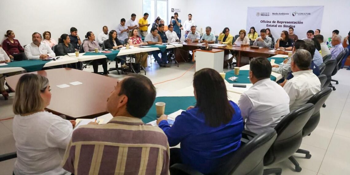 Secretaria de SEBIDES encabeza la toma de protesta de los nuevos integrantes del Consejo Estatal Forestal 2025-2027