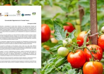 Productores de tomate agradecen a Gobierno de México por precios mínimos de exportación
