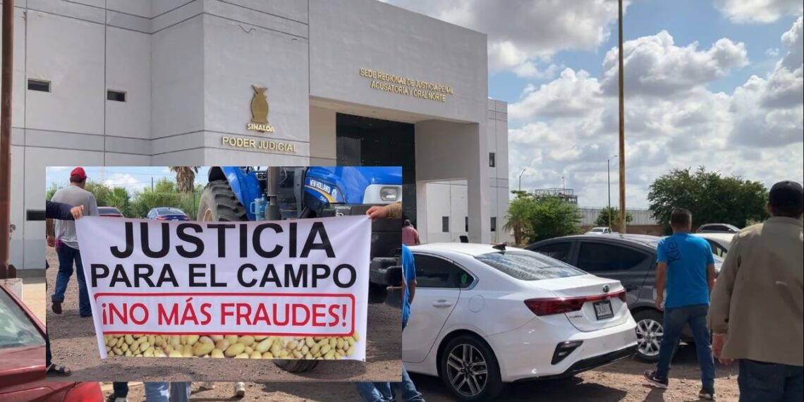 Productores del norte denuncian adeudos por toneladas de frijol entregadas – NR | NOTICIAS