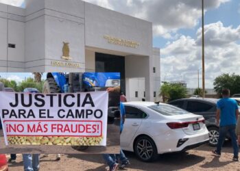 Productores del norte denuncian adeudos por toneladas de frijol entregadas – NR | NOTICIAS