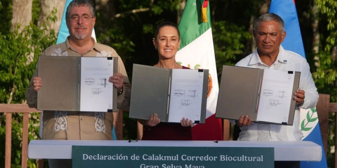 México, Guatemala y Belice anuncian el corredor biocultural más grande del mundo en su tipo: corredor biocultural Selva Maya. Preservará 5.7 millones de hectáreas de selva de los tres Países