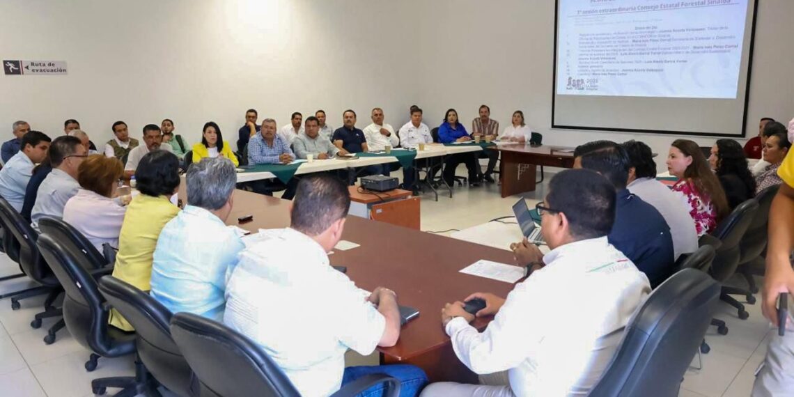 Rinden protesta de los nuevos integrantes del Consejo Estatal Forestal 2025-2027