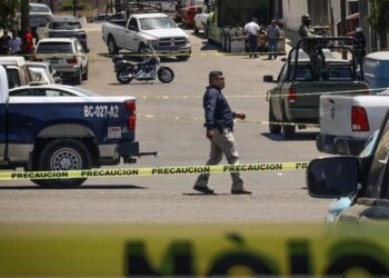 Homicidios bajan 25.3 % desde el inicio de la Administración de Claudia Sheinbaum