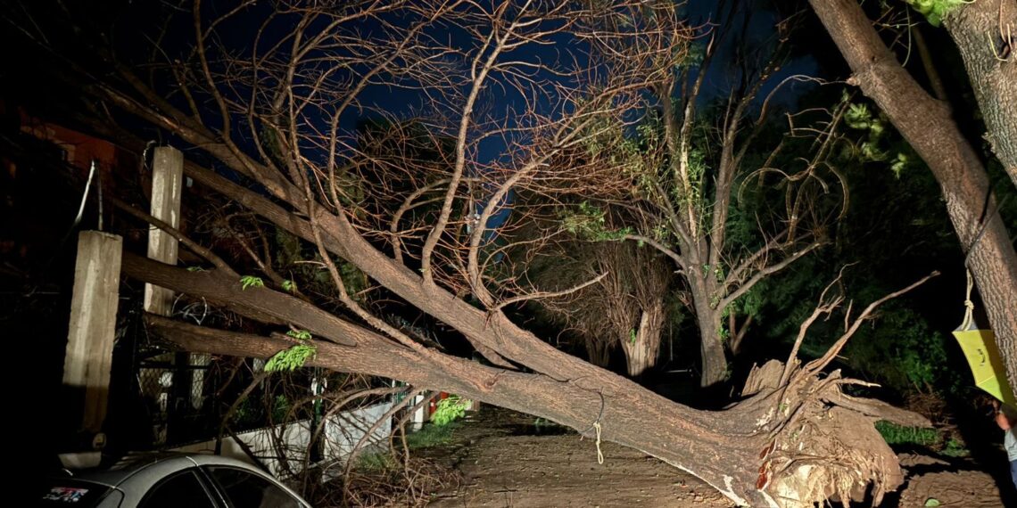 Se registra lluvia intensa en El Fuerte; se reportan afectaciones en el suministro eléctrico