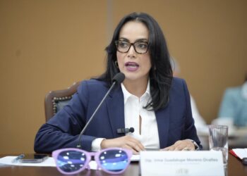 Presupuesto 2026 condena al abandono del campo sinaloense: Irma Moreno