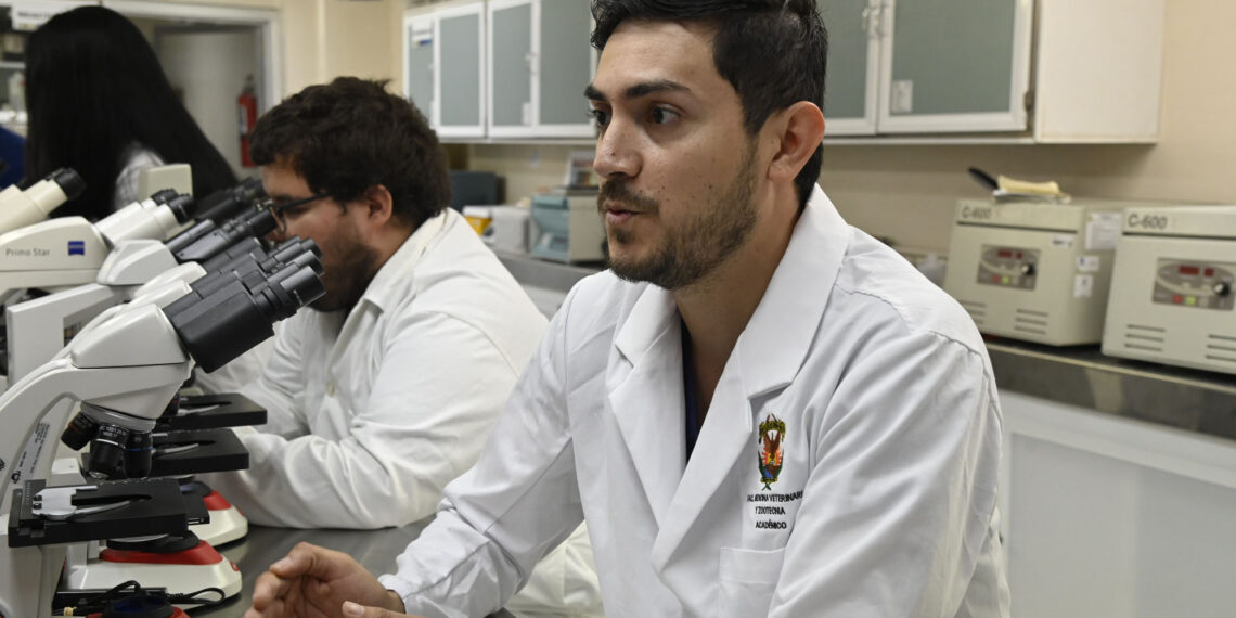 Necesario y pertinente asumir medidas preventivas en los hogares y las zonas circunvecinas para controlar la rickettsiosis, grave problema de salud