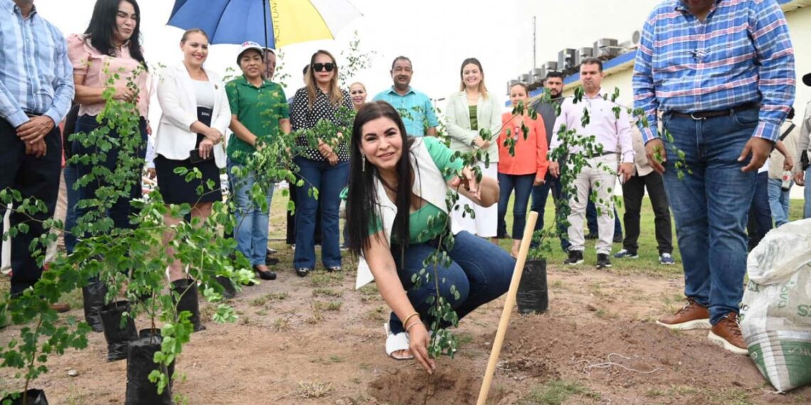 Invita especialista a donar especies endémicas al Programa de Jardines Sustentables UAS para tu Bienestar; se trabaja en listado de árboles nativos