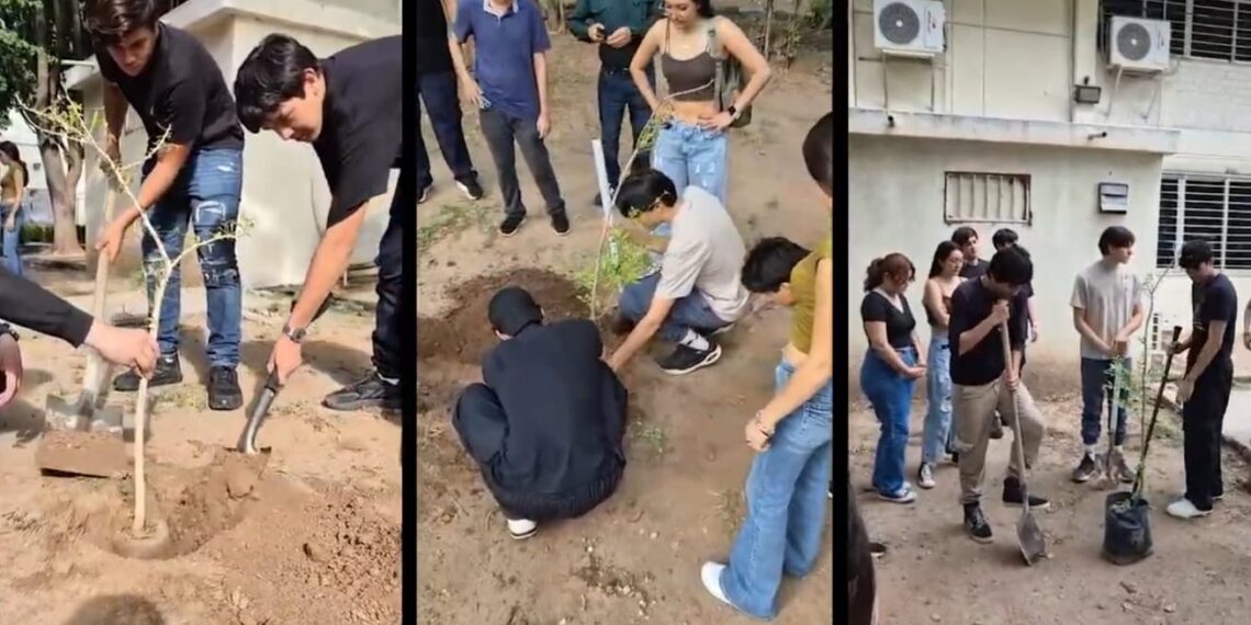 Crea la Facultad de Biología de la UAS el Jardín de Polinizadores, espacio que busca ser refugio de especies colectores de néctar como las abejas