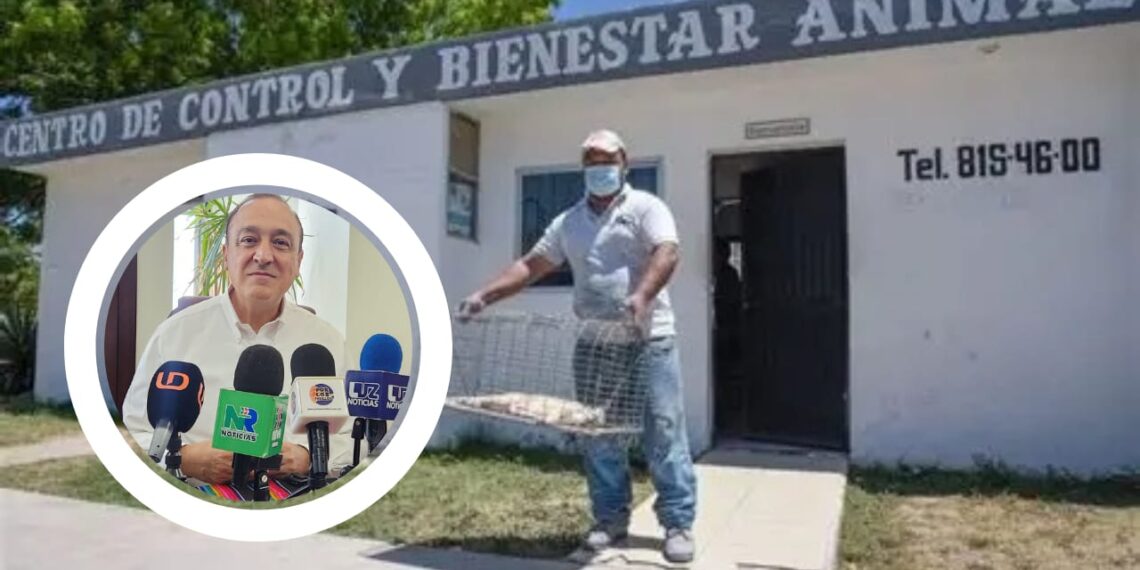 Investigan caso en el Centro Animal de Los Mochis; buscan garantizar mejor cuidado – NR | NOTICIAS