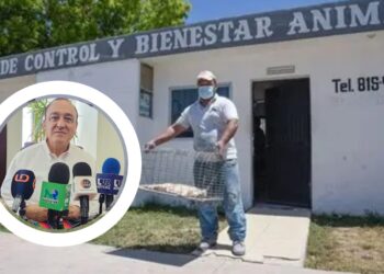 Investigan caso en el Centro Animal de Los Mochis; buscan garantizar mejor cuidado – NR | NOTICIAS