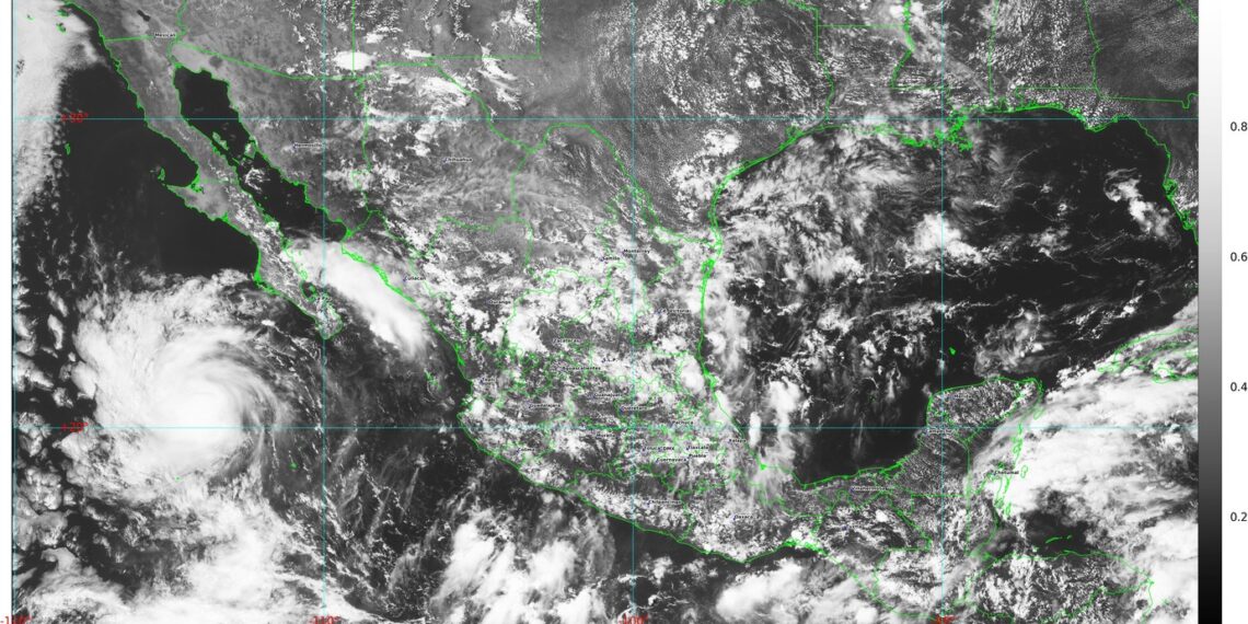 A causa del “ENSO neutral”, las temperaturas de la superficie del mar en el Pacífico están cerca de los valores promedio y el clima se ha normalizado