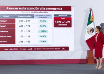 Gobierno de México: se han otorgado 70 mil 256 apoyos a personas afectadas por las lluvias