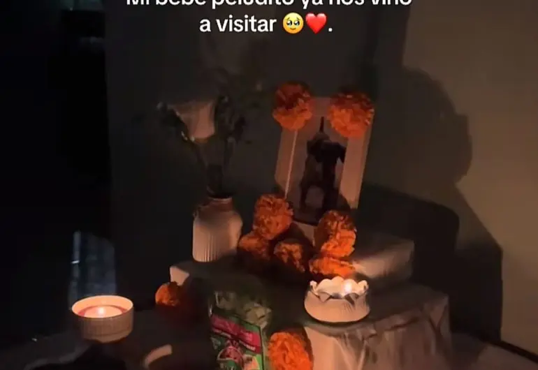 “Mi perrito volvió”: video viral muestra emotiva visita en Día de Muertos