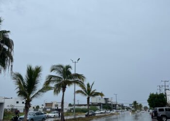 Lluvias en Ahome podrían incrementar esta tarde,  autoridades alistan refugios –  NR | NOTICIAS