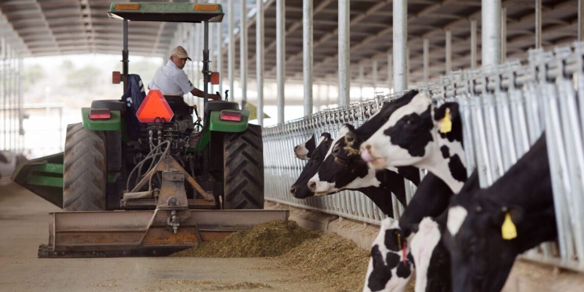 Productores de Sinaloa recibirán 12 pesos por litro de leche tras acuerdo con industria y Gobierno