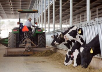 Productores de Sinaloa recibirán 12 pesos por litro de leche tras acuerdo con industria y Gobierno