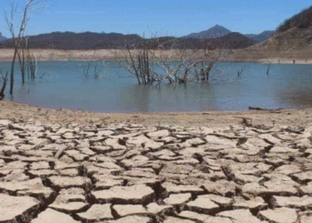 Sinaloa sale de la lista de estados con sequía tras abundantes lluvias: Rocha Moya