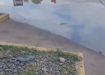 Vecinos de la colonia Cedros denuncian fallas  en el servicio del drenaje – NR | NOTICIAS