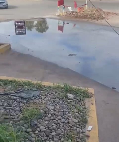 Vecinos de la colonia Cedros denuncian fallas en el servicio del drenaje – NR | NOTICIAS