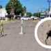 ¡Precaución! Detectan socavón en avenida Santos Degollado; reparaciones iniciarán mañana  – NR | NOTICIAS