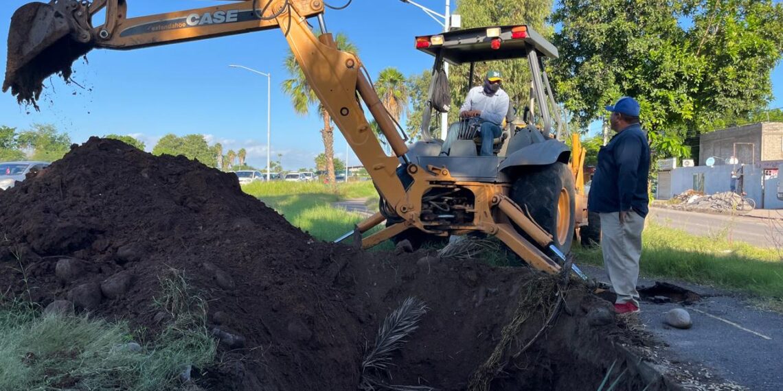 Inician trabajos para reparar socavones en bulevar Centenario; podrían concluir el 15 de diciembre – NR | NOTICIAS