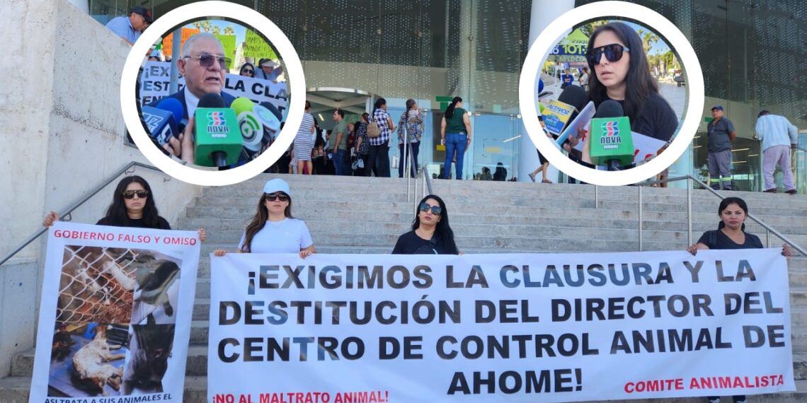 “Queremos un mejor trato para ellos”: animalistas de Los Mochis piden cambio de director del CCA – NR | NOTICIAS