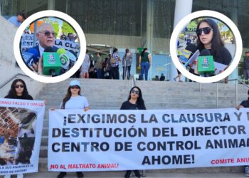 “Queremos un mejor trato para ellos”: animalistas de Los Mochis piden cambio de director del CCA – NR | NOTICIAS