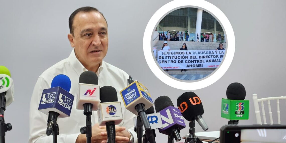 “Vamos a buscar soluciones y puntos de acuerdo”: Antonio Menéndez ante manifestación de animalistas por el CCA – NR | NOTICIAS