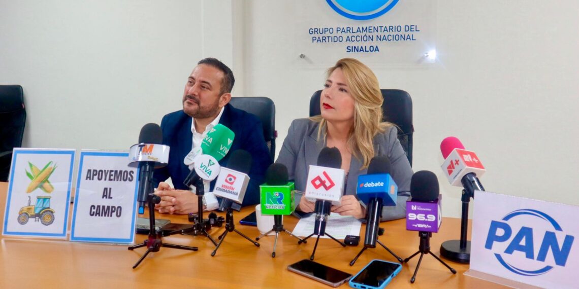 “La peor plaga del campo se llama Morena”: Roxana Rubio