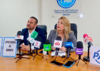 “La peor plaga del campo se llama Morena”: Roxana Rubio