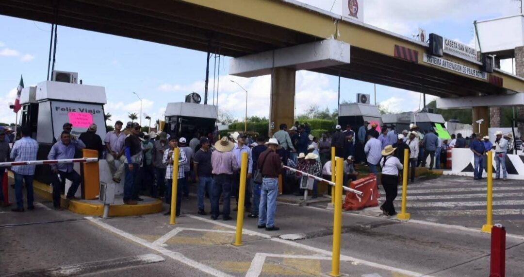 Productores de trigo del Valle del Carrizo levantan plantón tras acuerdo con el gobernador Rocha Moya