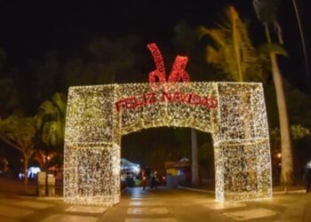 Avanza colocación de adornos navideños en Los Mochis; buscan encender el pino antes del Día de la Virgen.