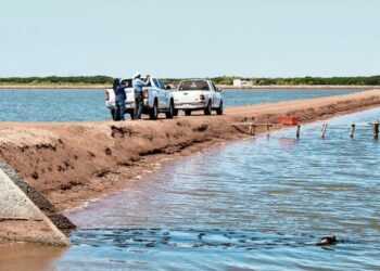 Buscan acelerar la electrificación de granjas acuícolas en Sinaloa; proyecto avanza, pero falta asegurar recursos.