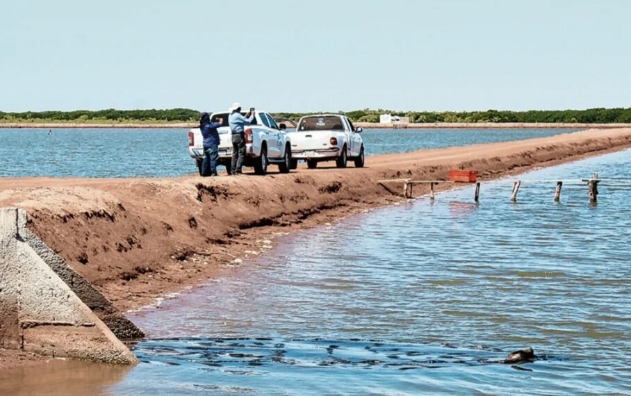 Buscan acelerar la electrificación de granjas acuícolas en Sinaloa; proyecto avanza, pero falta asegurar recursos.