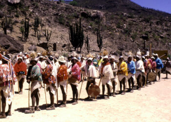 A través de un proyecto financiado por la SECIHTI, investigadores de la UAS estudiarán de manera multidisciplinaria las comunidades étnicas del noroeste de México