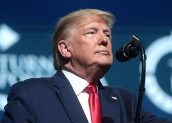 Revelan nuevos documentos del Caso Epstein en EE.UU., ¿qué dicen sobre Trump?