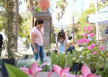 El Parque Sinaloa realizara este sábado su último bazar de plantas del año.