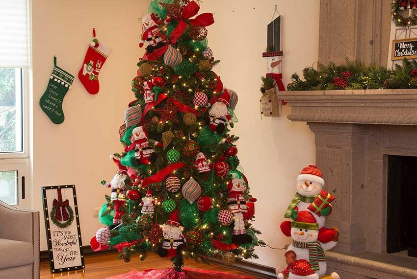 La tradición del pino navideño: un símbolo que ilumina hogares y espacios públicos en temporada decembrina.