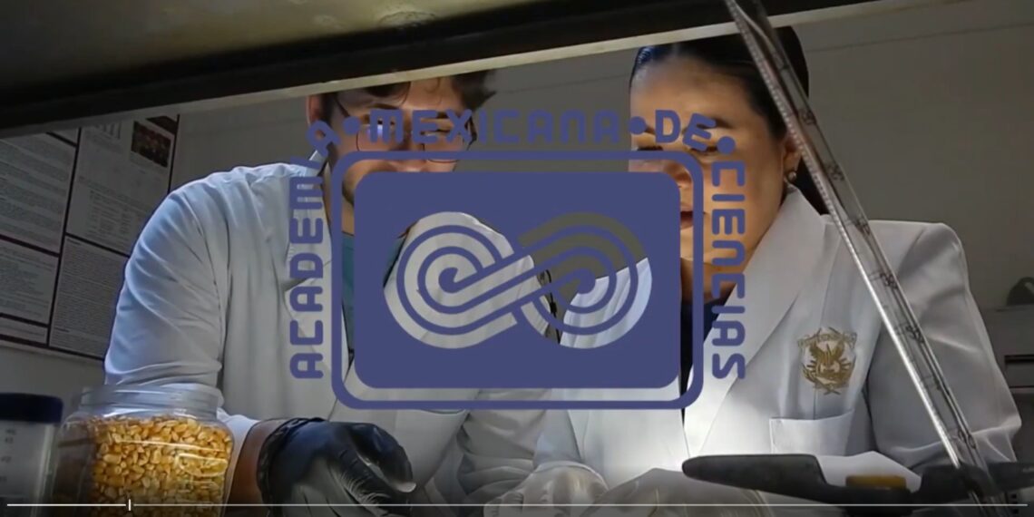 Marcela de Jesús Vergara y Misael Odín Vega, connotados investigadores de la UAS, nuevos miembros de la Academia Mexicana de Ciencias, por su excelencia y el alto prestigio de sus trayectorias