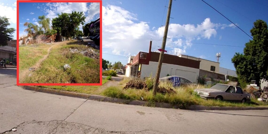 Vecinos del sector Centro de Los Mochis reportan predios invadidos de basura en el callejón Juan Carrasco