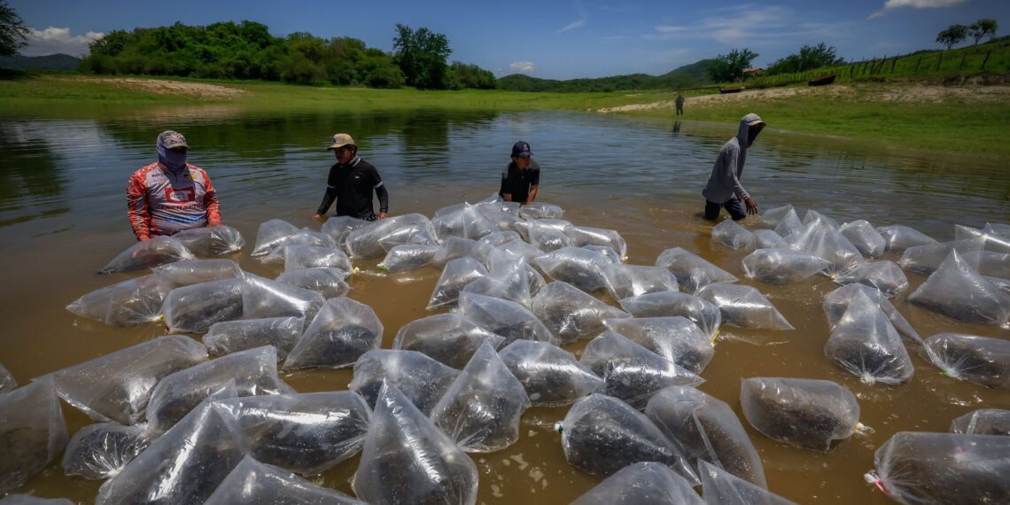 La Secretaría de Pesca y Acuacultura recuerda que mañana es el último día para acceder a programas pesqueros