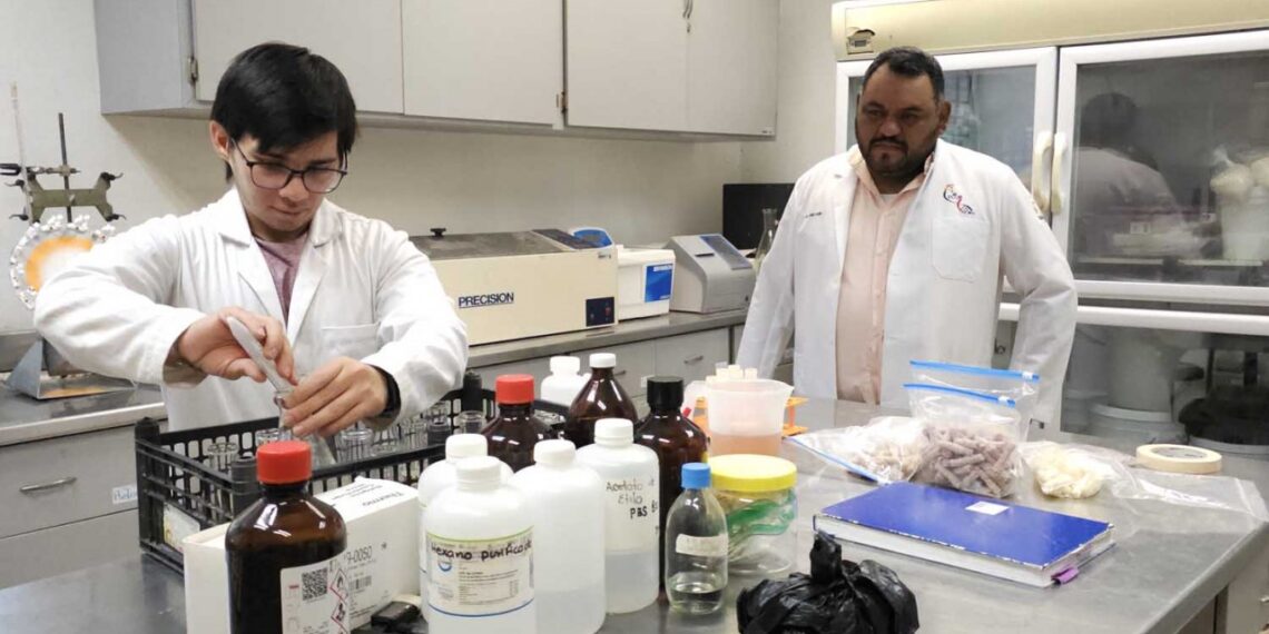 La Facultad de Ciencias Químico Biológicas de la UAS mantiene su liderazgo; por sus indicadores, la SECIHTI reconoce la calidad de ocho posgrados