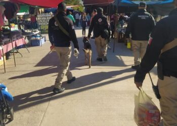 Un total de 40 kilos de pirotecnia fueron decomisados en esta temporada decembrina