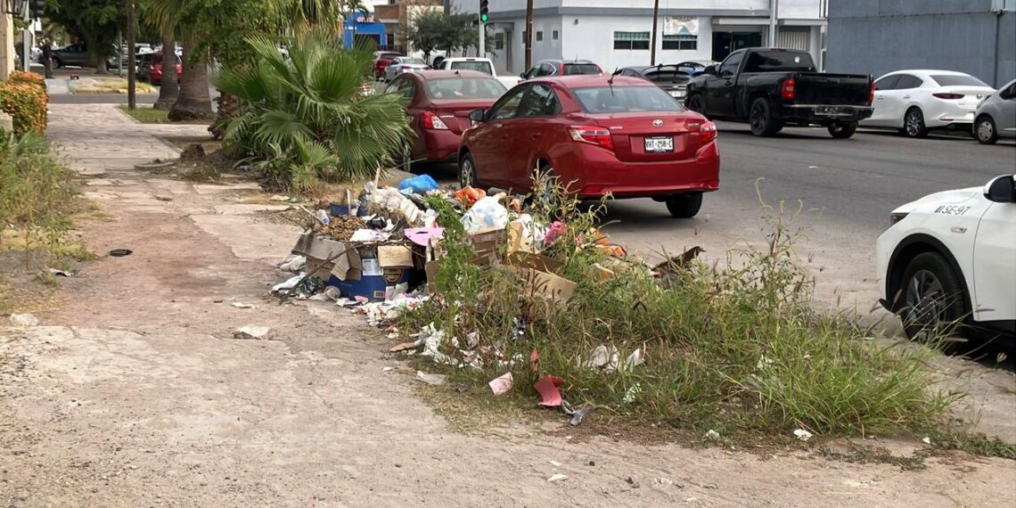 Reportan montones de basura en Ángel Flores y callejón Guadalupe Victoria