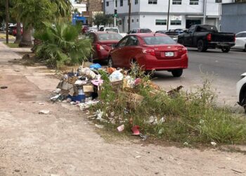 Reportan montones de basura en Ángel Flores y callejón Guadalupe Victoria
