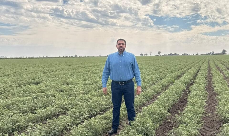 La calidad del garbanzo sinaloense, abre las puertas del mercado del medio oriente: Ismael Bello Esquuivel
