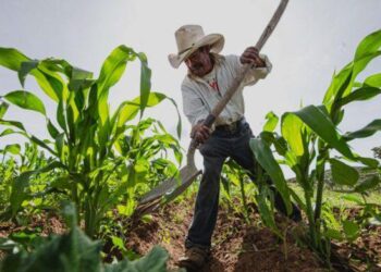 “La agricultura distingue a los sinaloenses en el mundo”: Rocha agradece el evento Expo Agro 2026